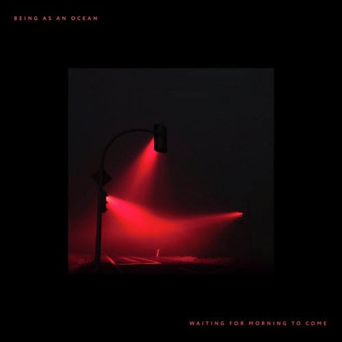 Waiting for Morning to Come