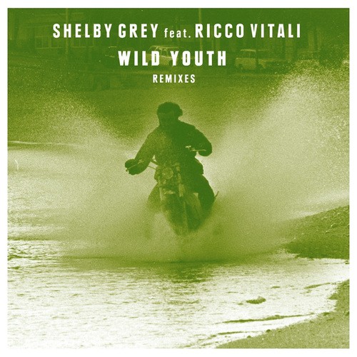 Wild Youth (Goldroom Remix)