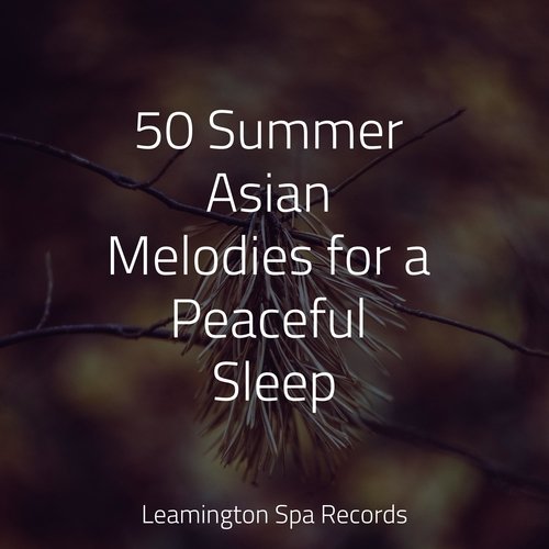 50 Summer Asian Melodies for a Peaceful Sleep