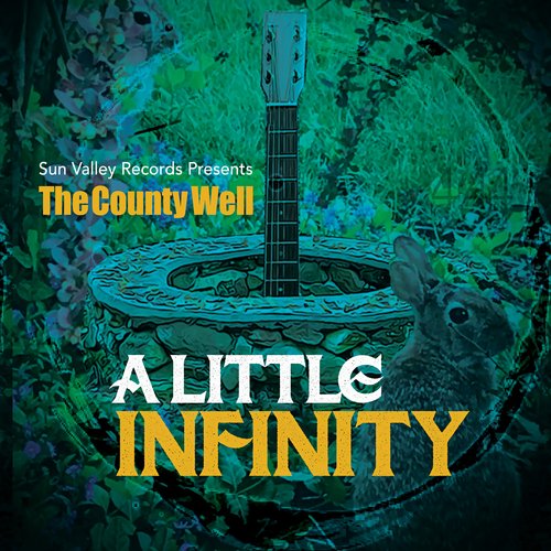 Did You See Waylon Jennings cover art