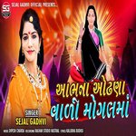 Aabhna Odhna Vadi Mogal Maa