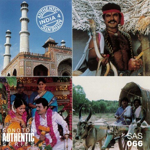 Authentic India, Vol. 4