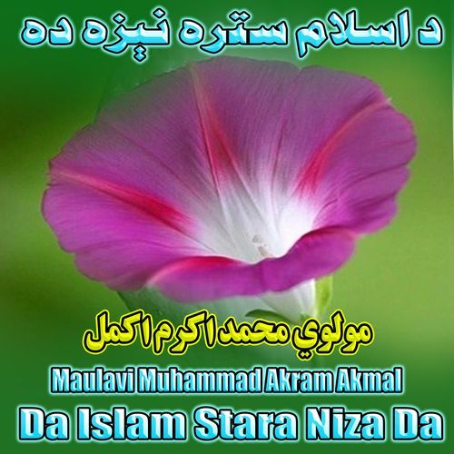 Da Islam Stara Niza Da