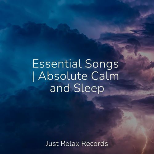 Essential Songs | Absolute Calm and Sleep