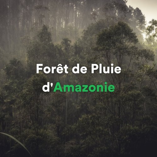 Jungle Atmospheres cover art