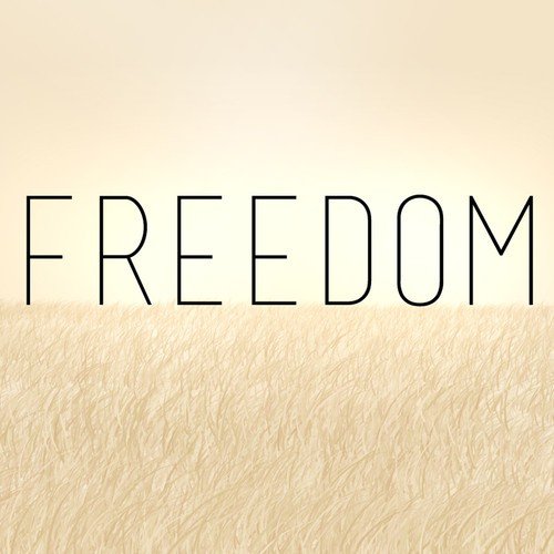 Freedom (Originally Performed By Pharrell Williams) [Instrumental Version] - Single