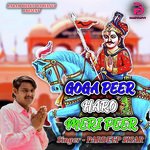 GOGA PEER HARO MERI PEER