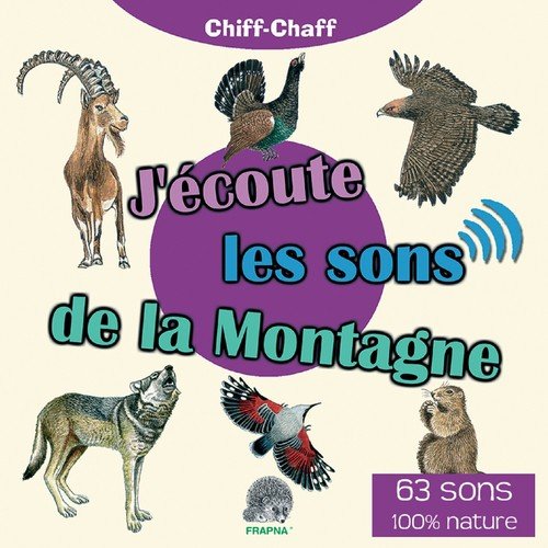 Chocard à bec jaune cover art