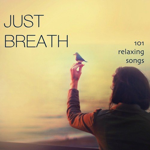 Drum Beats cover art