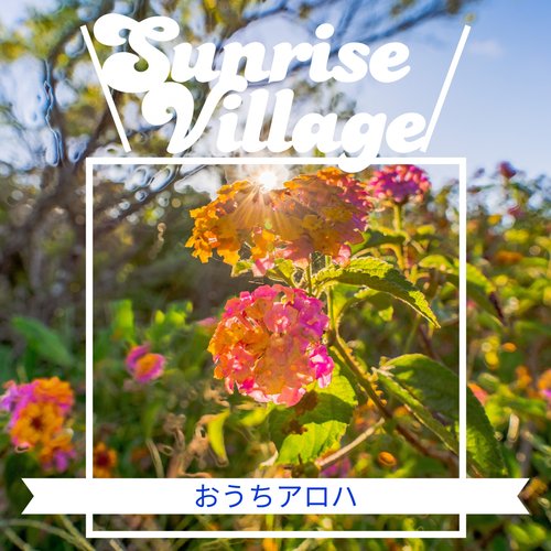 Coconut Valley in Hawaii cover art
