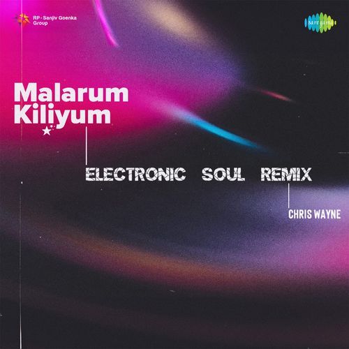 Malarum Kiliyum - Electronic Soul Remix