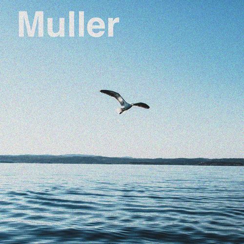 Muller cover art