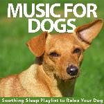 Music For Dogs: Soothing Sleep Playlist to Relax Your Dog