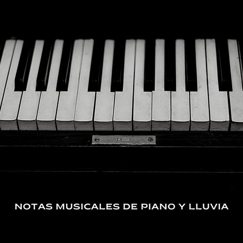 Proyecto cover art