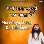 Phas Gaya Makdi Ka Jala Mein