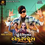 Professional Express