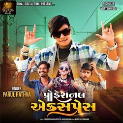 Professional Express