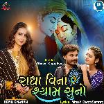 Radha Vina Shyam Suno