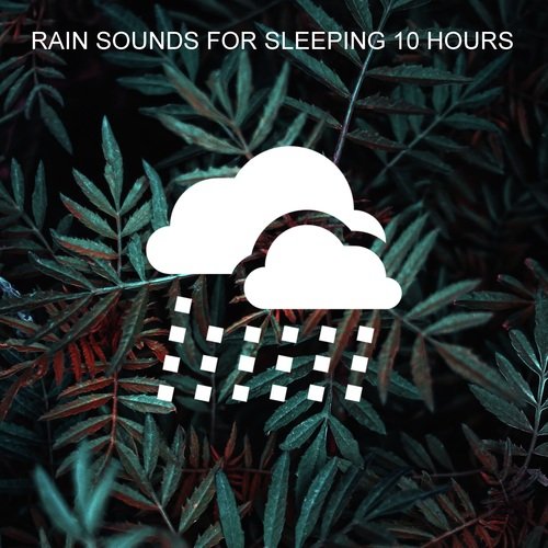 Relaxing Sounds of Rain