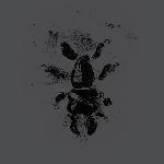 Secret Hidden Message