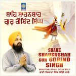 Shahe Shahenshah Gur Gobind Singh