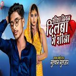 Sisa Niyan Dilwa Ge Sona