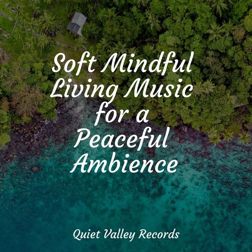 Ambient Music for Stress Relief