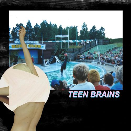 Teen Brains