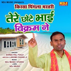 Tere Chhote Bhai Vikram Ne