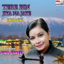 Tere bin jiya na jaye (Hindi)