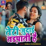 Teri Judai Tadpati Hai (Sad Song)