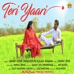 Teri Yaari