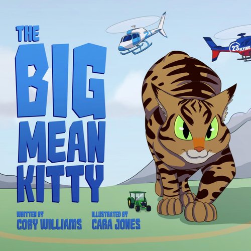 The Big Mean Kitty Song