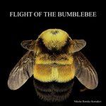 The Flight of the Bumblebee