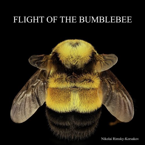 The Flight of the Bumblebee