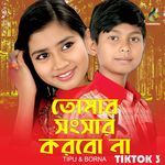 Tomar Shongshar Korbo Na 3 (Tiktok)