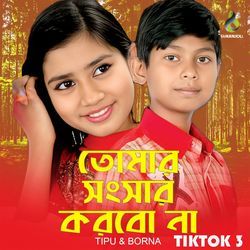 Tomar Shongshar Korbo Na 3 (Tiktok)