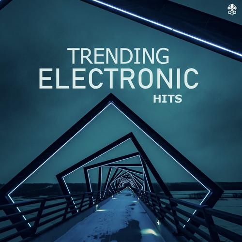 Trending Electronic Hits_poster_image