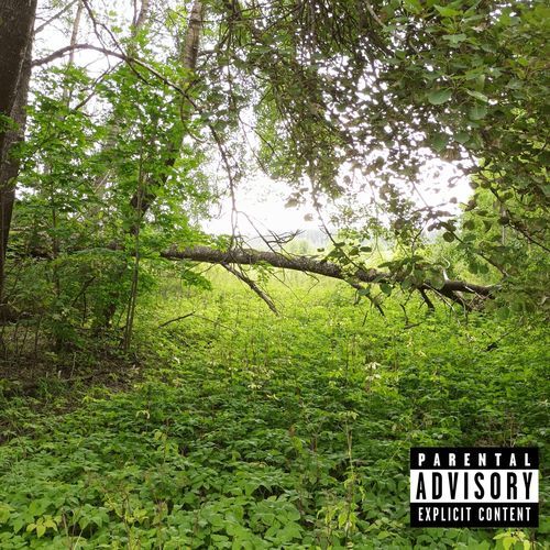 Laugh 2 Da Bank cover art