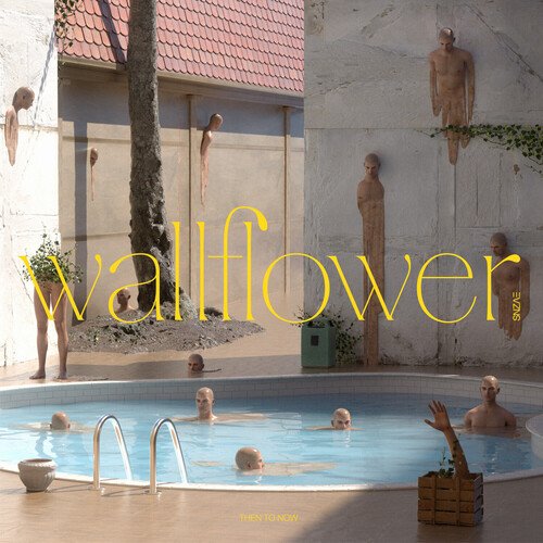 Wallflower