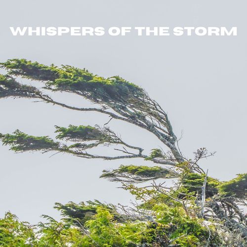 Whispers of the Storm_poster_image