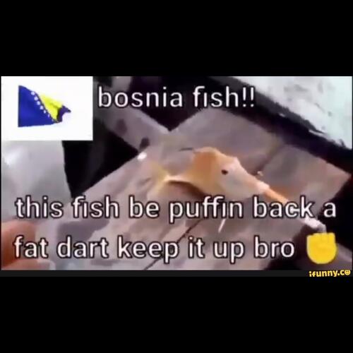fish