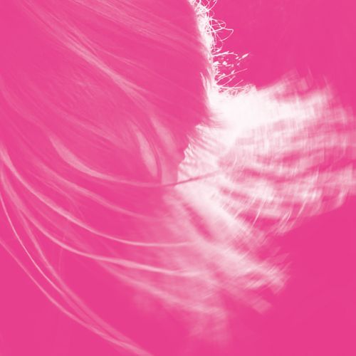 i’m in love... (Justin Robertson Remixes)