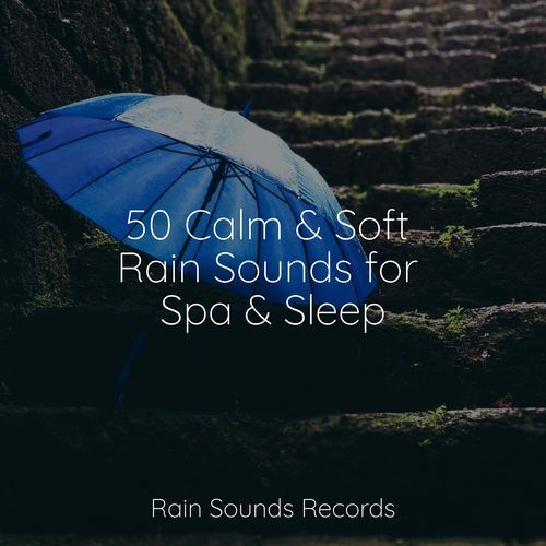 50 Calm & Soft Rain Sounds for Spa & Sleep