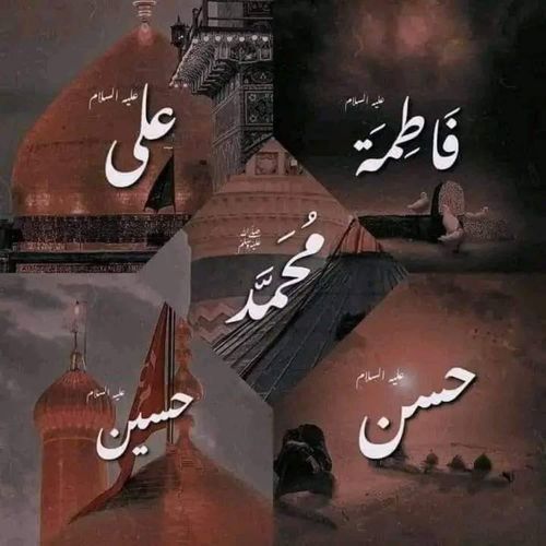 Aale Nabi Se Phir Gaye Izzat Nahi Mili