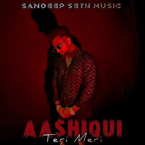 Aashiqui Teri Meri
