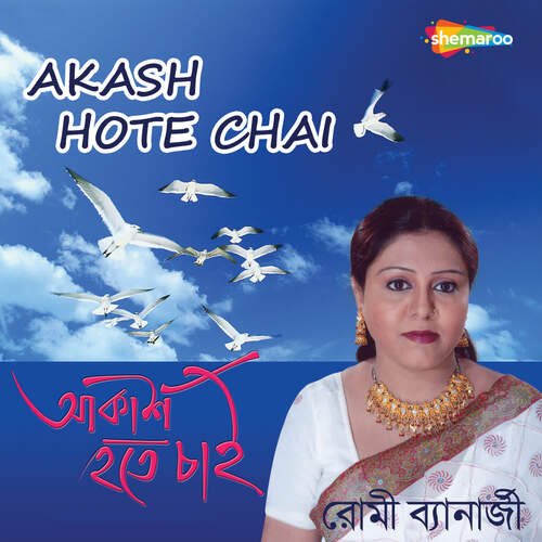 Akash Hote Chai