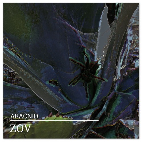 Aracnid