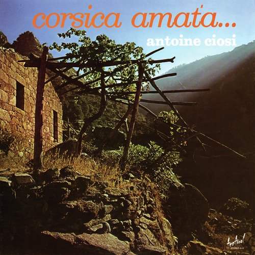 Corsica Amata
