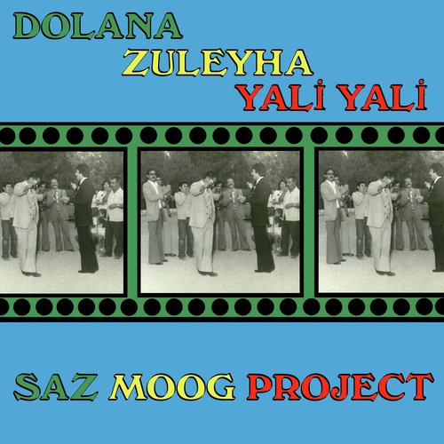 Saz Moog Project